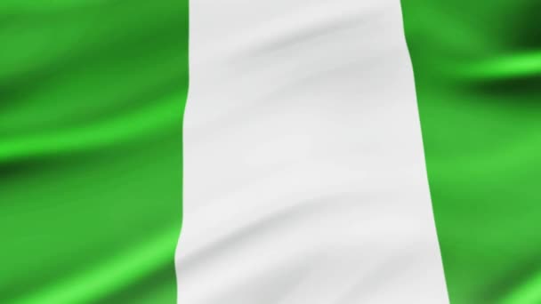 ナイジェリアの国旗を振って風現実的なナイジェリアの国旗背景のビデオ映像です ナイジェリアの旗ループのクローズ アップ — ストック動画