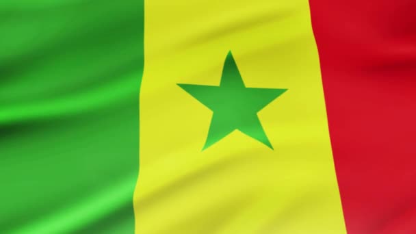 Bandera Senegal Ondeando Imágenes Video Viento Fondo Realista Bandera Senegal — Vídeos de Stock