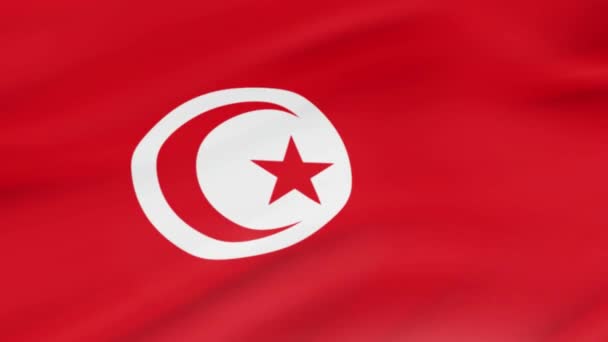 Флаг Туниса Размахивает Видео Ветра Реалистичным Фоном Флага Туниса Крупный — стоковое видео