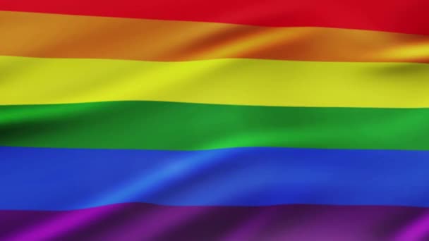 Gökkuşağı Bayrağı Lgbt Gurur Bayrak Veya Eşcinsel Gurur Bayrak Sallayarak — Stok video