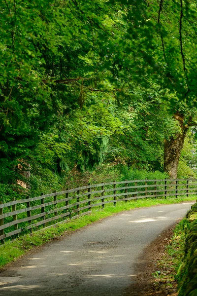 Turn Road Fence Green Forest — Stock Photo, Image