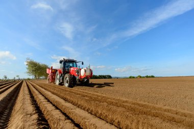 Traktör ve uzman ekipman ile patates dikim.