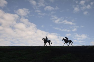 Newmarket, İngiltere'de Warren Hill yarış atı eğitim Galloplar üzerinde çalıştıktan sonra iki at.