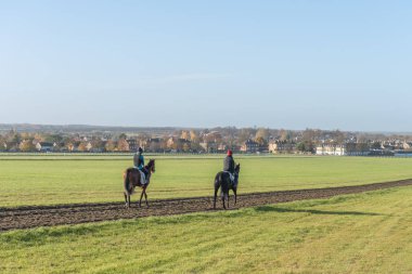 Newmarket, İngiltere'de Warren Hill yarış atı eğitim Galloplar üzerinde çalıştıktan sonra iki at.
