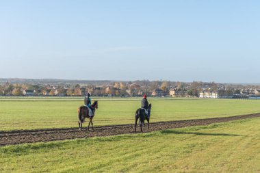 Two horses after working on Warren Hill racehorse training gallops at Newmarket, England. clipart