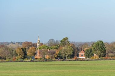 Newmarket, İngiltere'de Town Canter yarış atı eğitim dörtnala çalışan atlar.