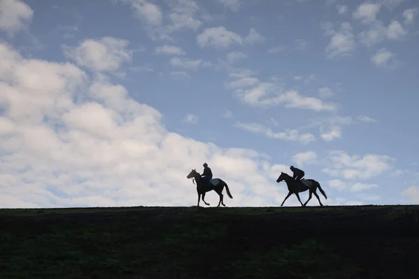 Dois Cavalos Depois Trabalhar Galope Treinamento Cavalos Corrida Warren Hill — Fotografia de Stock