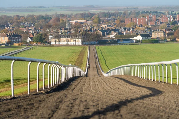 Warren Hill Racehorse Training Gallops Newmarket England — Stock Photo, Image