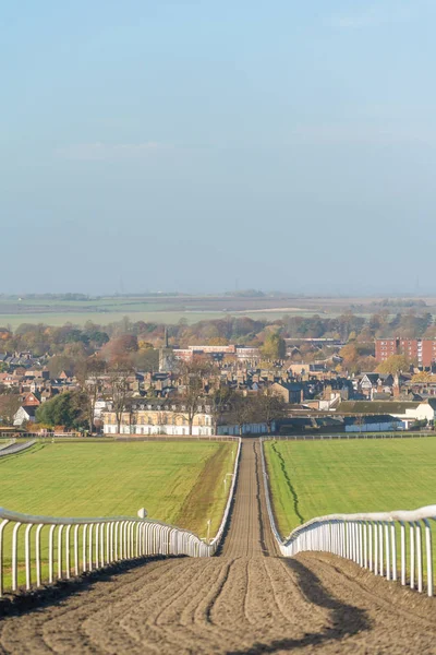 Warren Hill Tävlingshäst Utbildningen Galopperar Newmarket England — Stockfoto