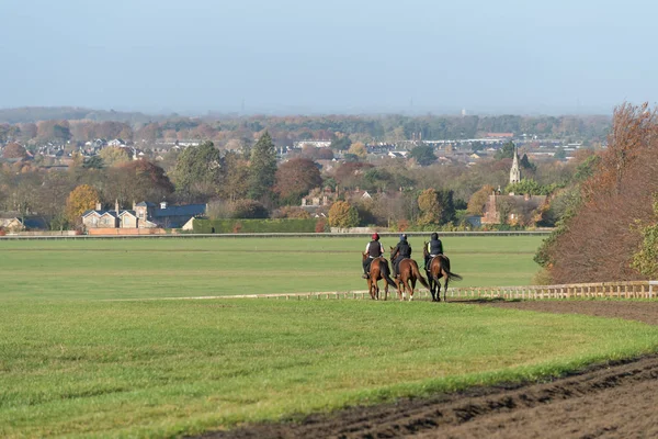 ニュー マーケット イギリスでウォーレン ヒル競走馬トレーニング競馬で作業した後 つの馬 — ストック写真