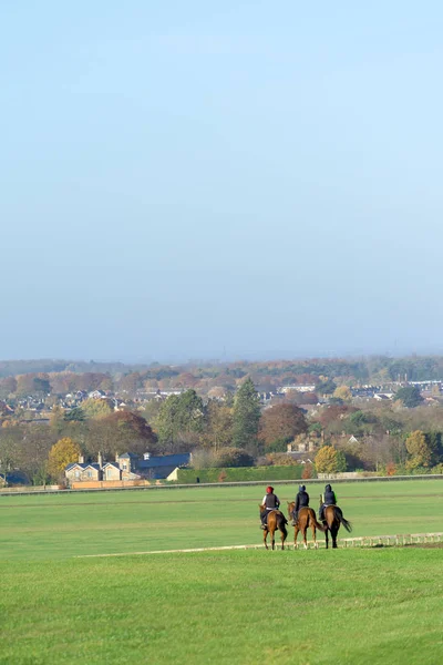 Tres Caballos Después Trabajar Warren Hill Entrenamiento Caballos Carreras Galope — Foto de Stock