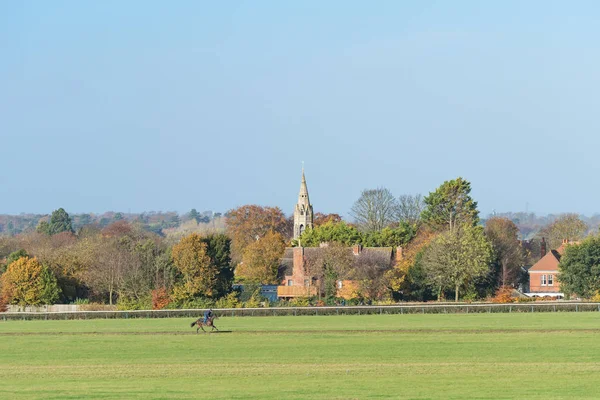 Cavalo Trabalhando Galope Treinamento Long Hill Newmarket Inglaterra — Fotografia de Stock