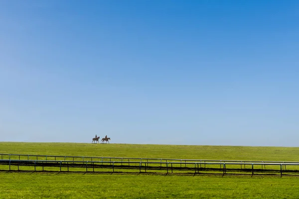 Dwa Konie Pracy Warren Wzgórze Zagroda Szkolenia Galopuje Newmarket Wielka — Zdjęcie stockowe