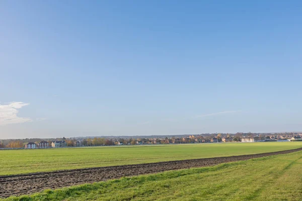 Warren Hill Tävlingshäst Utbildningen Galopperar Newmarket England — Stockfoto