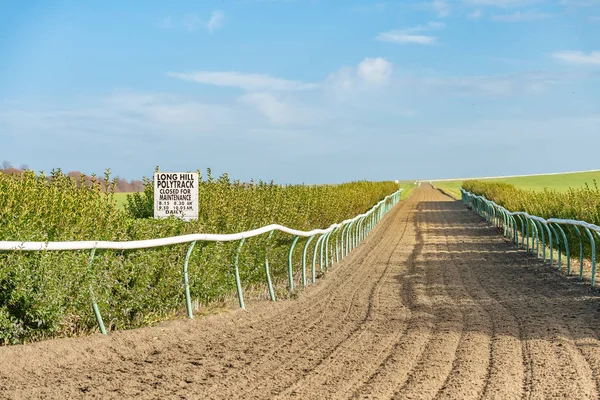 Long Hill Polytrack Racehorse Training Gallops Newmarket England — Stock Photo, Image