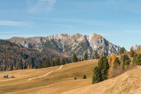 Wandelgebied Van Fanes Sennes Prags Natuurpark Buurt Van Schluderbach Carbonin — Stockfoto