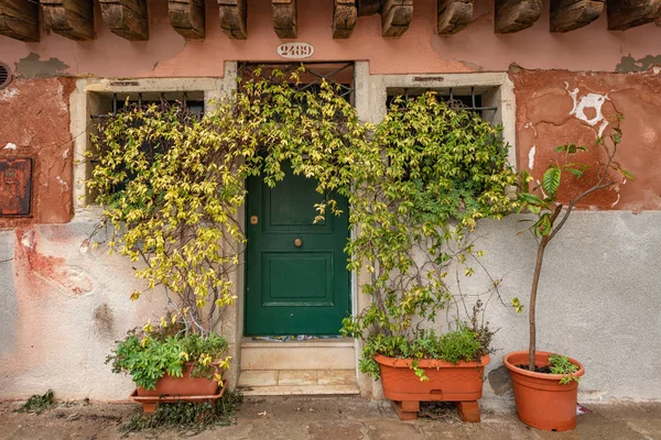 Dörröppning Venedig Italien Med Igenvuxna Krukväxter — Stockfoto