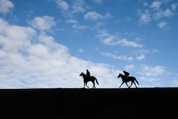 Dois Cavalos Depois Trabalhar Galope Treinamento Cavalos Corrida Warren Hill — Fotografia de Stock