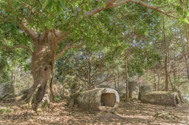 Kavanoz site 3 Plain Ban Lat Khai, Phonsavan, Xieng Khouang Province köyünün yakınında güzel ormanlık manzaralı yamaçta oturuyor.