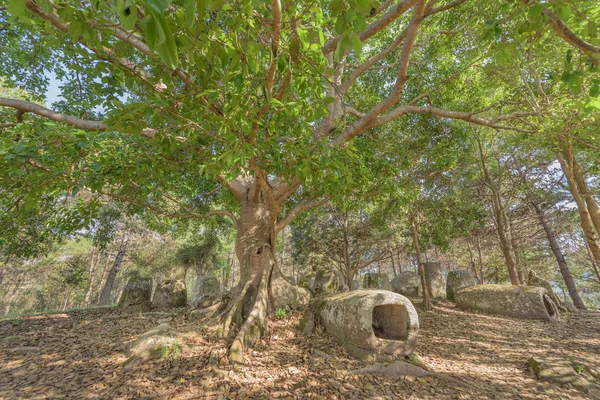 Plain Jars Site Sits Scenic Hillside Pretty Woodland Village Ban — Stock Photo, Image