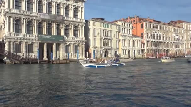 Venezia Italia Ottobre 2018 Canal Grande Venezia — Video Stock