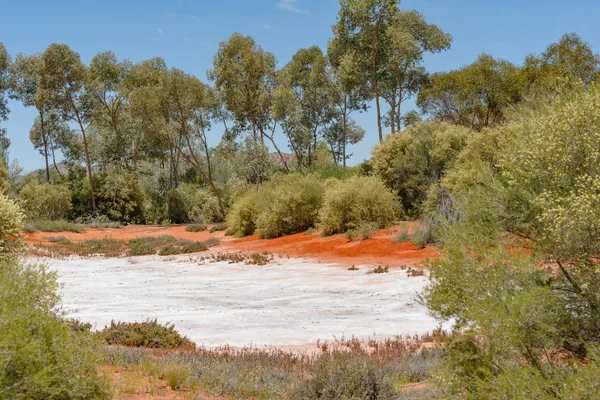 Árboles Que Crecen Cerca Una Piscina Agua Arrid Cordillera Macdonnell — Foto de Stock