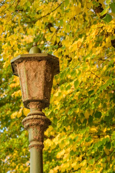 Sonbahar Renkli Yaprakları Ile Ağaçlara Karşı Rustik Bir Sokak Lambası — Stok fotoğraf