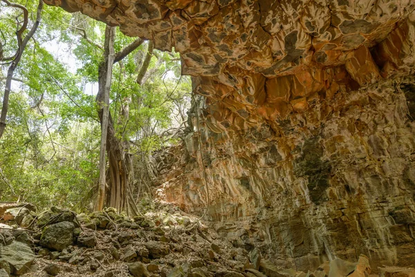 Bejárat Arch Larva Tube Undara Vulkáni Nemzeti Park Egyik Leghosszabb — Stock Fotó