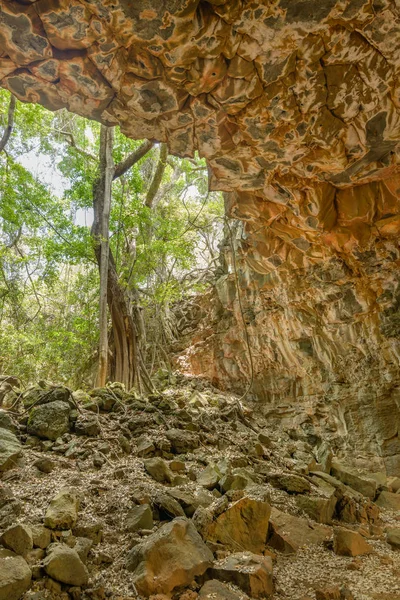 Bejárat Arch Larva Tube Undara Vulkáni Nemzeti Park Egyik Leghosszabb — Stock Fotó