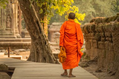 Kamboçya 'daki Angkor Wat kompleksi içinde Budist Ta Prohm tapınağında yürüyen yalnız bir keşiş..