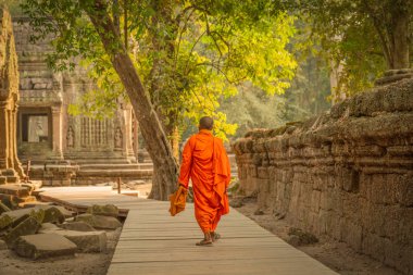 Kamboçya 'daki Angkor Wat kompleksi içinde Budist Ta Prohm tapınağında yürüyen yalnız bir keşiş..