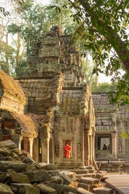 Kamboçya 'daki Angkor Wat kompleksi içindeki Budist Ta Prohm tapınağında yalnız bir keşiş..