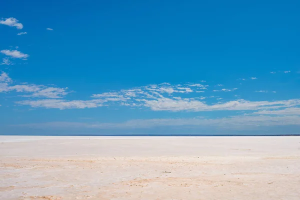 Lago Hart Lago Salado Sur Australia Condiciones Muy Duras Para — Foto de Stock