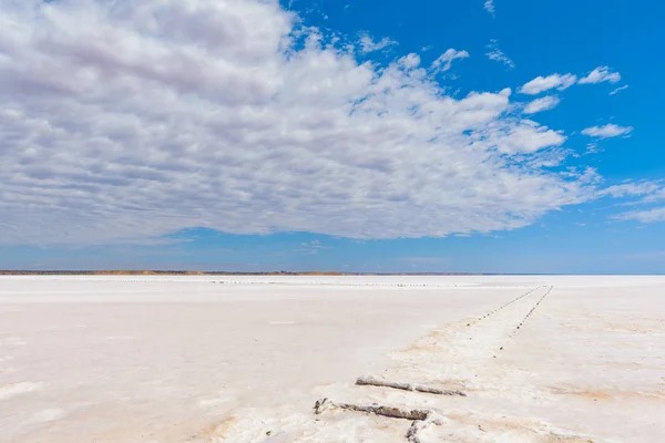 Lake Hart Lago Salgado Sul Austrália Condições Muito Duras Para — Fotografia de Stock