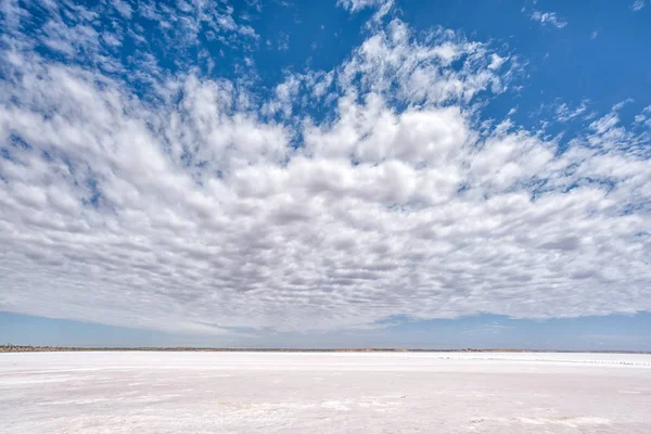 Lago Hart Lago Salado Sur Australia Condiciones Muy Duras Para — Foto de Stock