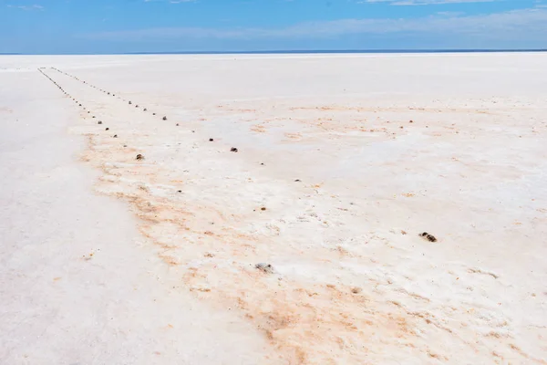 Lake Hart Egy Sós Dél Ausztráliában Nagyon Nehéz Körülmények Között — Stock Fotó