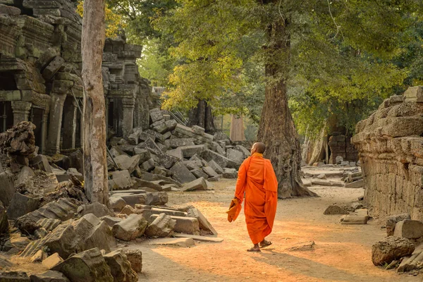 Egy Magányos Szerzetes Sétál Prohm Buddhista Templomán Kambodzsai Angkor Wat — Stock Fotó