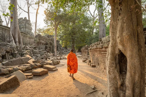 Lone Monk Walking Buddhist Temple Prohm Angkor Wat Complex Cambodia — Stock Photo, Image