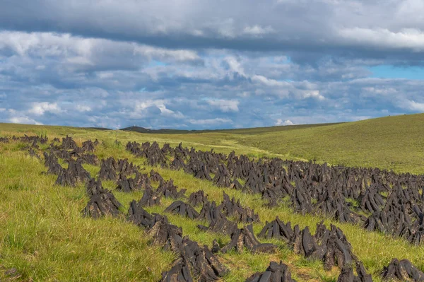 Çim fosil yakıtı, bir dağın yamacında kuruyan bir bataklıktan kesilmiş..