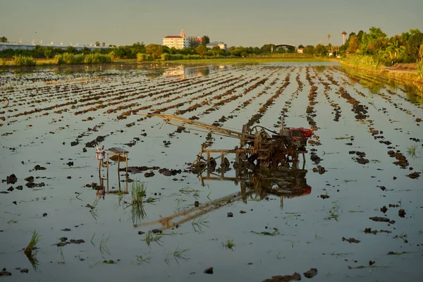 Tayland 'da bir çeltik tarlasında tarım makineleri ve yansımaları.  