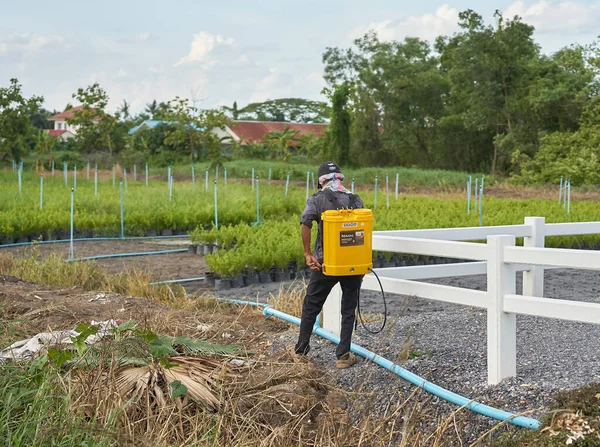  Haziran 2020 'de Pathumthani, Tayland' da beyaz çitin yanında bir adam ot öldürücü sıktı..                               