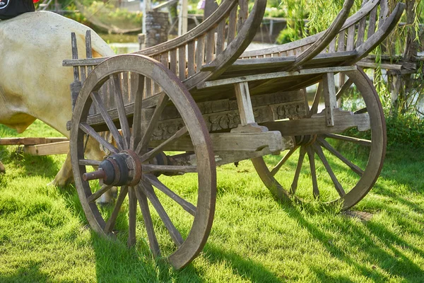 Old Wooden Cart Large Wheels Field Green Grass — Stock Photo, Image