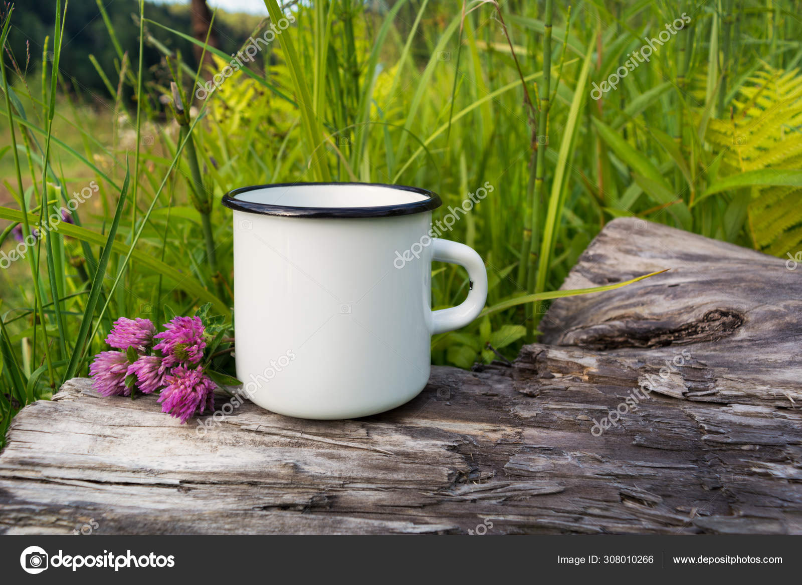 Download White Campfire Enamel Mug Mockup With Red Clover Stock Photo Image By C Tasipas 308010266