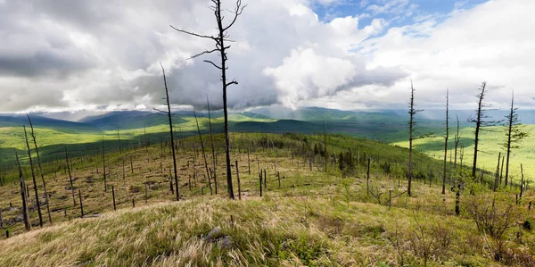 Berge Äußersten Osten Russlands Region Chabarowsk Ein Gebirge Der Nähe — Stockfoto