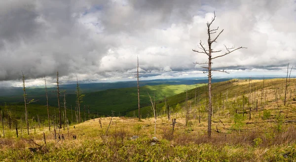 Berge Äußersten Osten Russlands Region Chabarowsk Ein Gebirge Der Nähe — Stockfoto