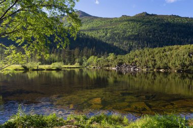 Dağlar Dusse Alin Rus uzak doğu Habarovsk bölge adı altında. Güzel dağ gölü mühür dağlarda Dusse Alin denir.