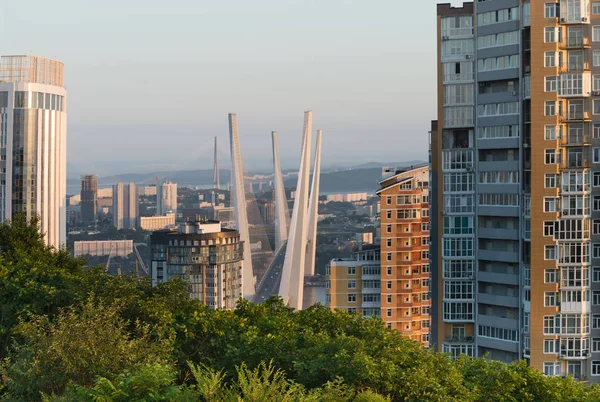 Belangrijkste Stad Van Primorski Regio Rossi Stad Haven Van Vladivostok — Stockfoto