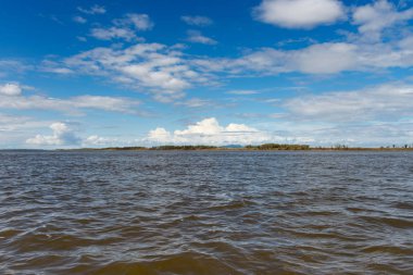 Amur Nehri'ndeki Kumlu Plaj. Rusya'nın Habarovsk bölgesi 