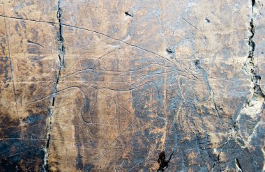 B köyü yakınlarındaki Amur Nehri kıyısında Petroglifler