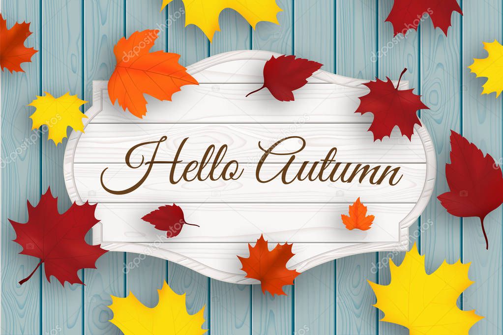 Hello autumn wooden signboard with leaves and blue old wood planks. Vector.